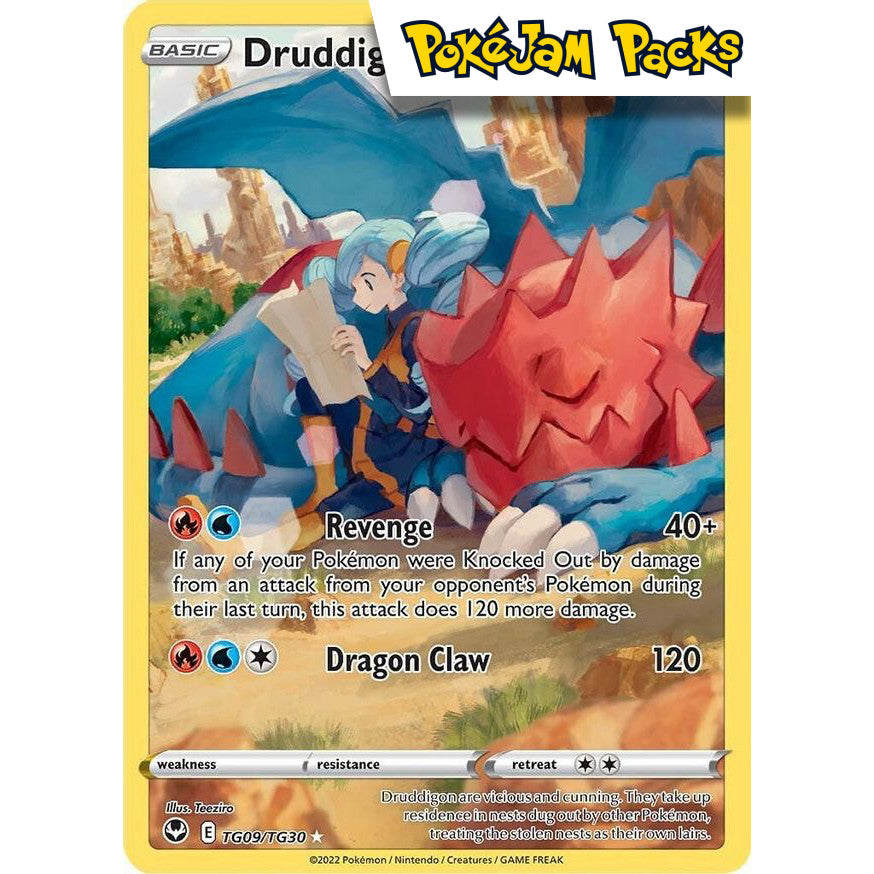 Druddigon - TG09/TG30 - Holo Rare - Silver Tempest - Pokémon TCG