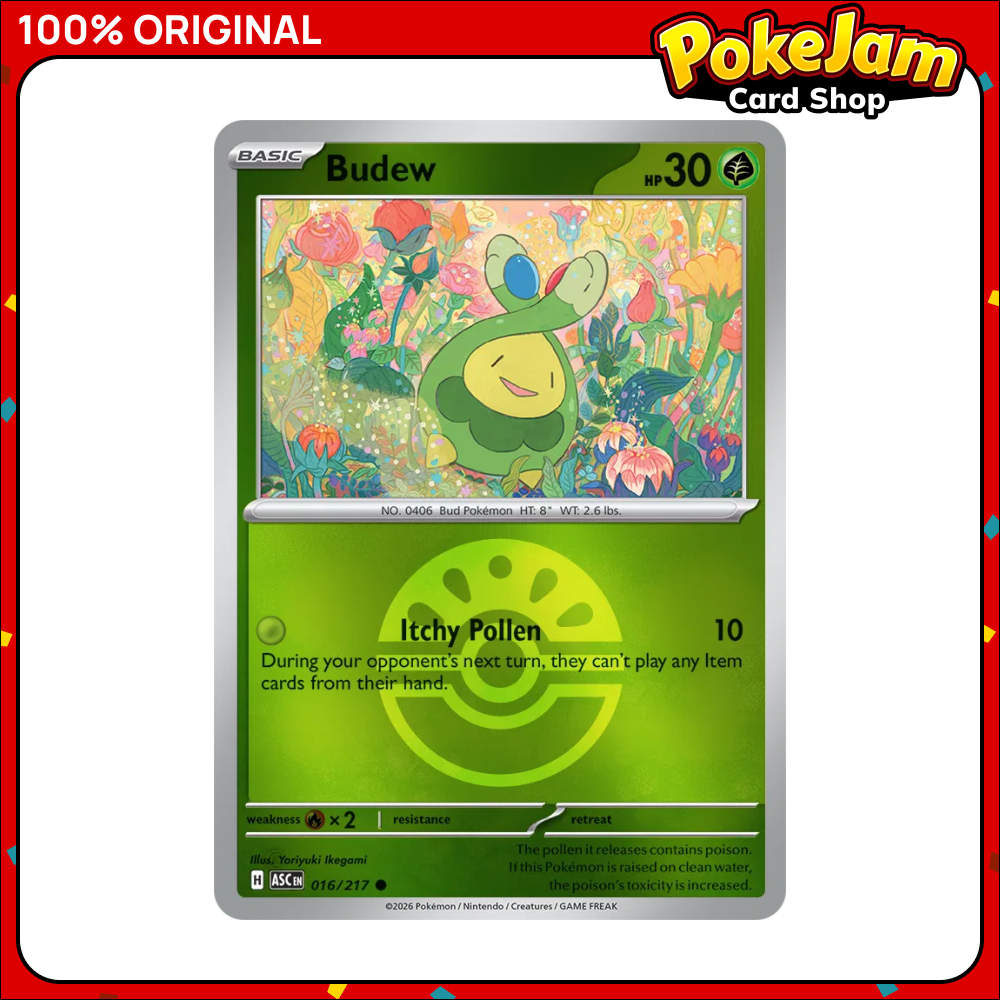 BUDEW_FRIEND_BALL_ASC_16_REV