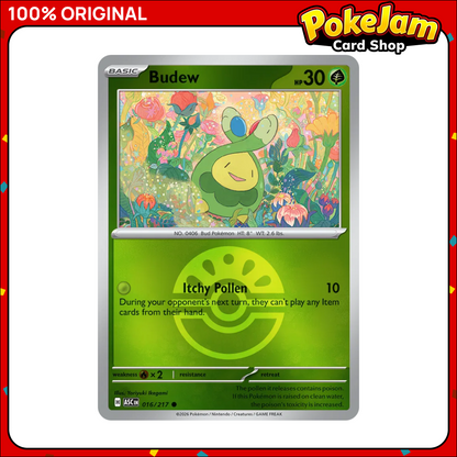 BUDEW_FRIEND_BALL_ASC_16_REV
