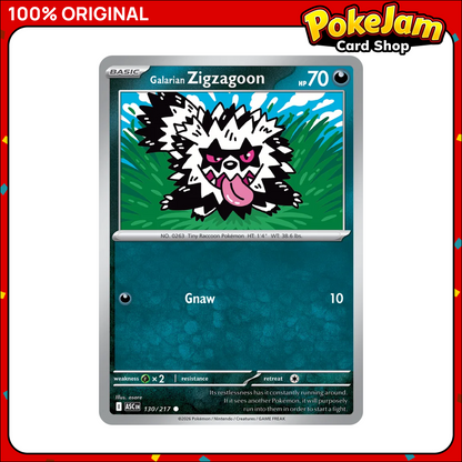 GALARIAN_ZIGZAGOON_ASC_130_C