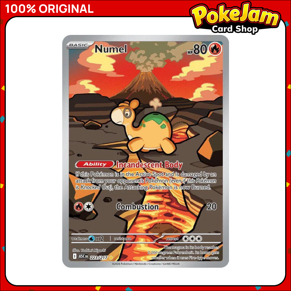 NUMEL_ASC_223_IR