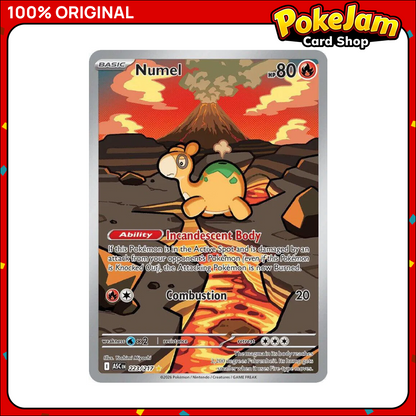 NUMEL_ASC_223_IR