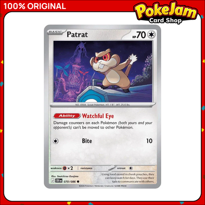 PATRAT_CRI_70_C